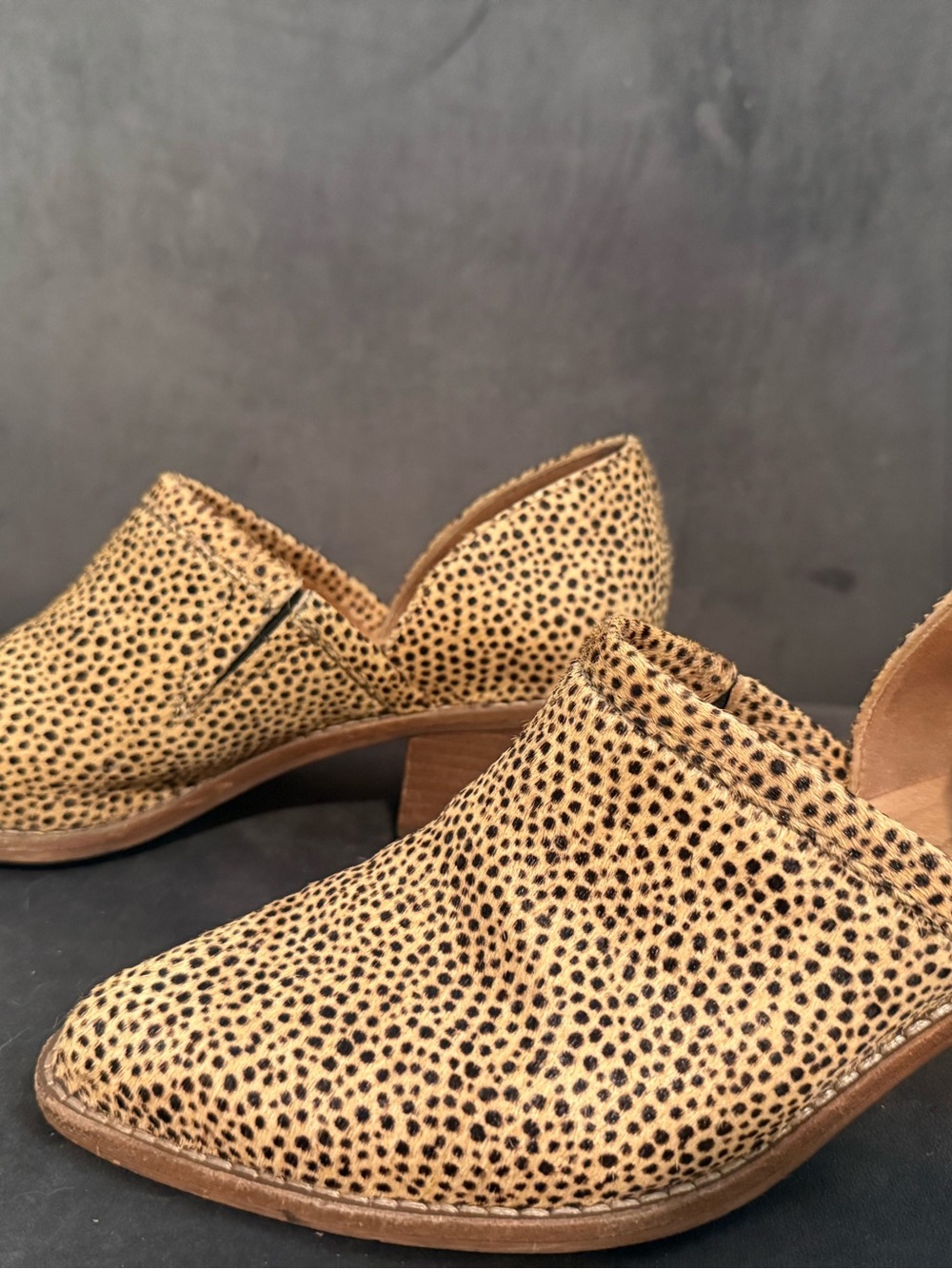 Madewell Leopard-Print Pointed Toe ankle bootie in Tan and Black - Picture 2 of 5